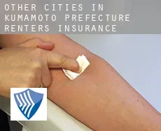 Other Cities in Kumamoto Prefecture  renters insurance