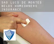 São Luís de Montes Belos  homeowners insurance