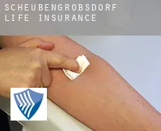 Scheubengrobsdorf  life insurance