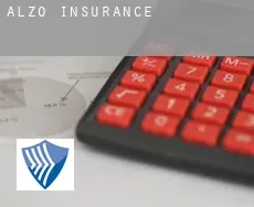 Altzo  insurance