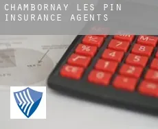 Chambornay-lès-Pin insurance agents