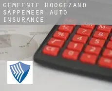 Gemeente Hoogezand-Sappemeer  auto insurance