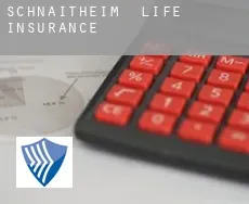 Schnaitheim  life insurance