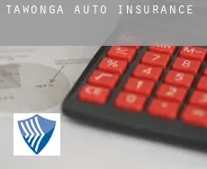 Tawonga  auto insurance