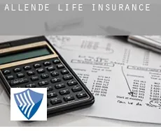 Allende  life insurance