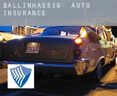 Ballinhassig  auto insurance