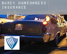 Burey  homeowners insurance