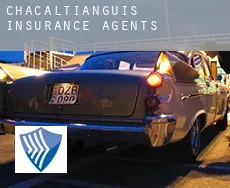 Chacaltianguis  insurance agents