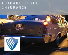 Luthäne  life insurance