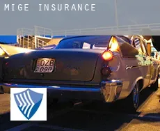 Migé  insurance