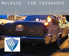Mulroog  car insurance