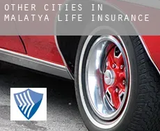 Other cities in Malatya  life insurance