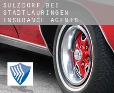 Sulzdorf bei Stadtlauringen  insurance agents
