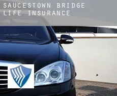 Saucestown Bridge  life insurance