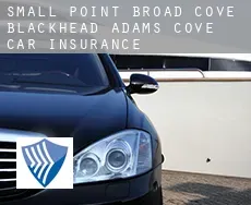 Small Point-Broad Cove-Blackhead-Adams Cove  car insurance