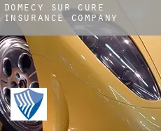 Domecy-sur-Cure  insurance company