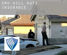 Emu Hill  auto insurance
