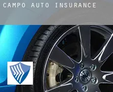 Campo  auto insurance