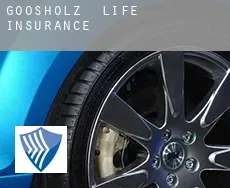Goosholz  life insurance