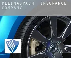 Kleinaspach  insurance company