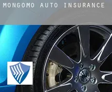 Mongomo auto insurance