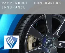 Rappenbügl  homeowners insurance