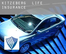 Kitzeberg  life insurance