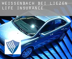 Weißenbach bei Liezen  life insurance