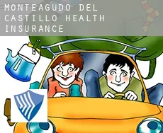 Monteagudo del Castillo  health insurance