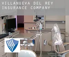 Villanueva del Rey  insurance company