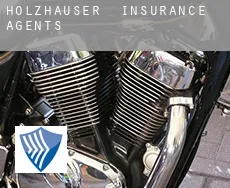 Holzhäuser  insurance agents