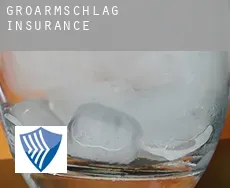 Großarmschlag  insurance