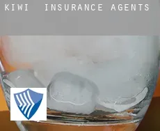 Kiwi  insurance agents