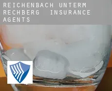 Reichenbach unterm Rechberg  insurance agents