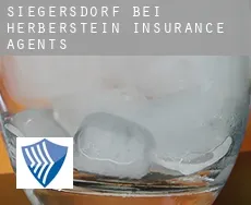 Siegersdorf bei Herberstein  insurance agents