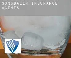 Songdalen  insurance agents
