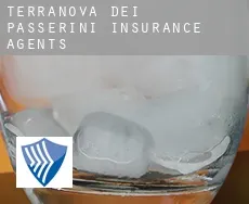 Terranova dei Passerini  insurance agents