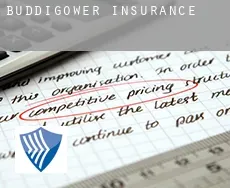 Buddigower  insurance