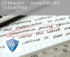 Carraghy  homeowners insurance