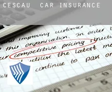 Cescau car insurance
