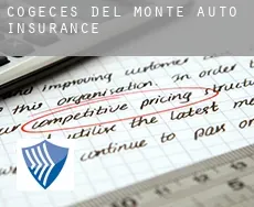 Cogeces del Monte  auto insurance