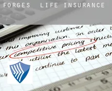 Forges  life insurance