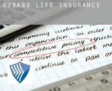 Gurabo  life insurance