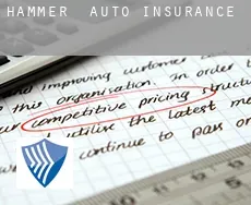 Hammer  auto insurance