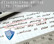 Killeenleagh Bridge  life insurance