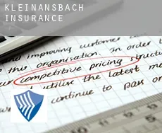 Kleinansbach  insurance