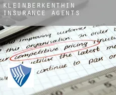 Kleinberkenthin  insurance agents