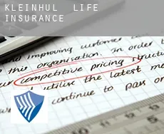 Kleinhül  life insurance