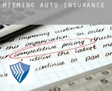 Mieming auto insurance