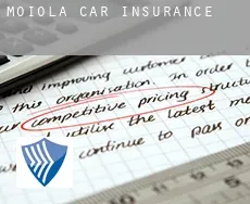 Moiola  car insurance